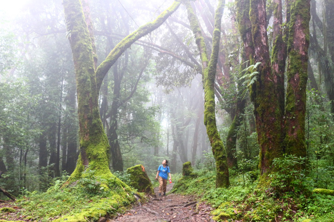 kinh-nghiem-treking-duong-nui-o-nepal