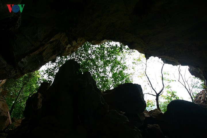 hang-doi-moc-chau