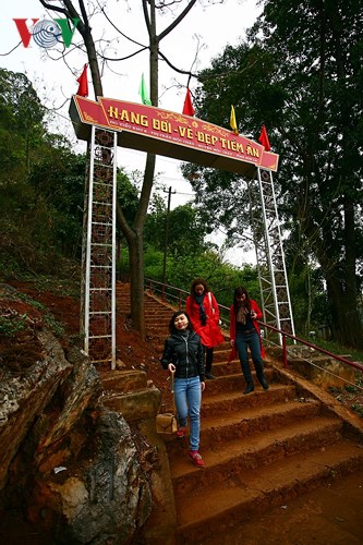 hang-doi-moc-chau