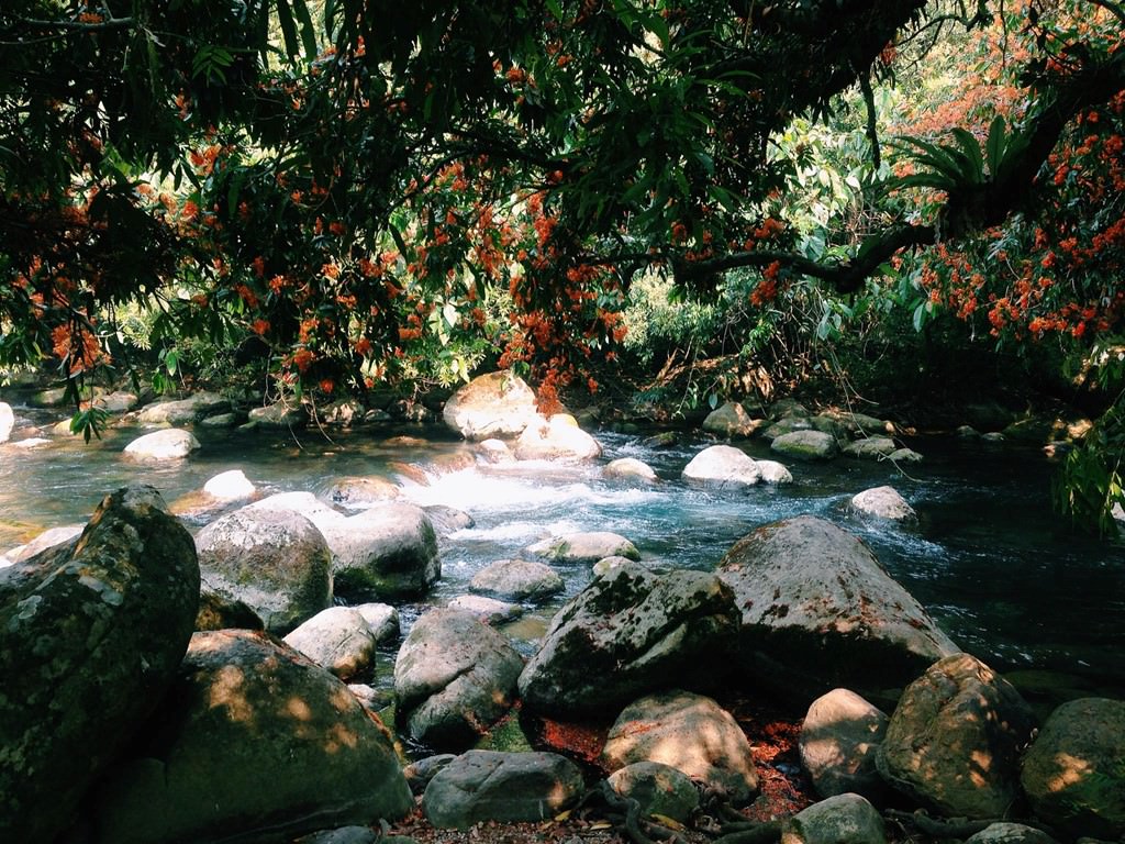 Cam-nang-di-lac-chon-than-tien-it-ai-biet-tai-quang-binh-wetrek.vn