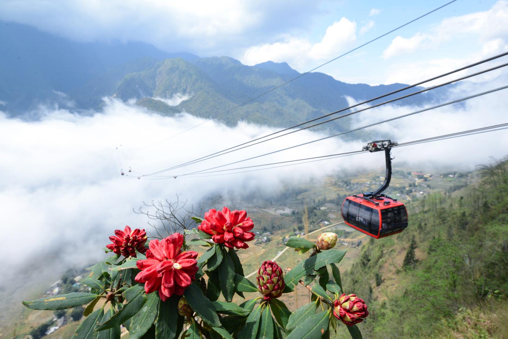 Doc-dao-le-hoi-hoa-do-duyen-fansipan-thang4-2017-wetrek.vn