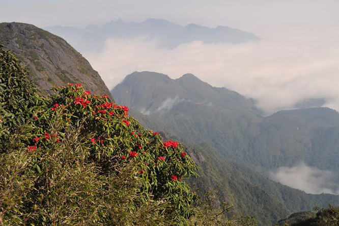 Hoa-do-quyen-ve-dep-niu-chan-nhung-ke-chinh-phuc-dinh-fansipan-huyen-thoai-wetrek.vn