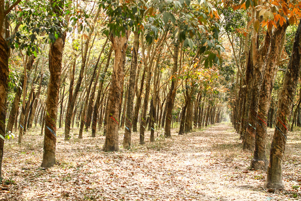 Kham-pha-viet-nam-dep-muon-mau-bon-mua-xuan-ha-thu-dong-wetrek.vn