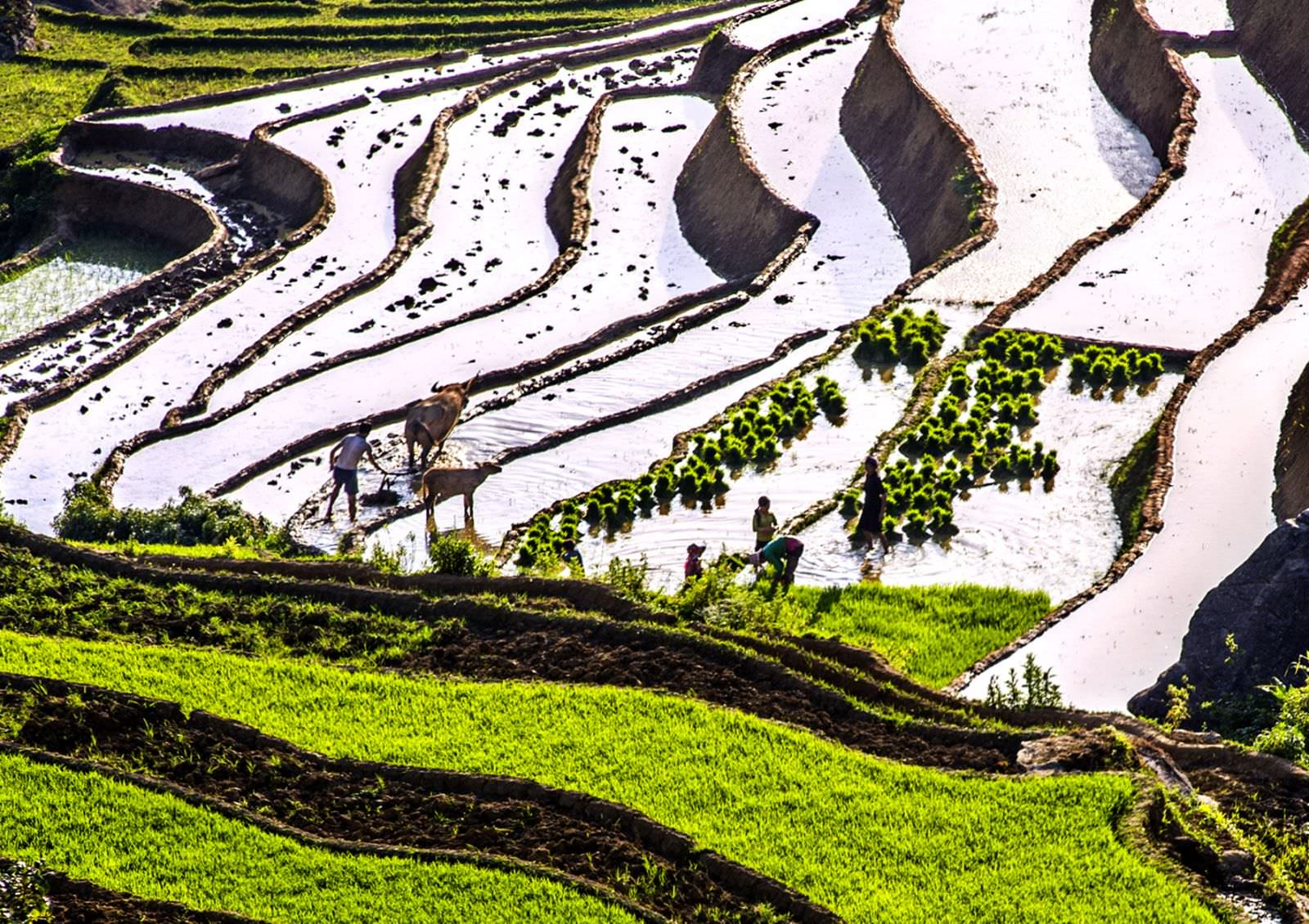 Muon-duoc-chiem-nguong-nhung-o-mau-da-sac-cua-thien-nhien-hay-den-tay-bac-mua-nuoc-do-wetrek.vn