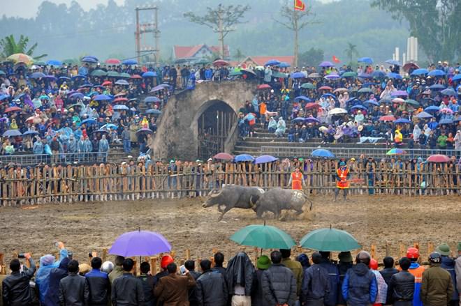 Thang-Gieng-kham-pha-cac-le-hoi-du-xuan-doc-mien-dat-nuoc-wetrek.vn