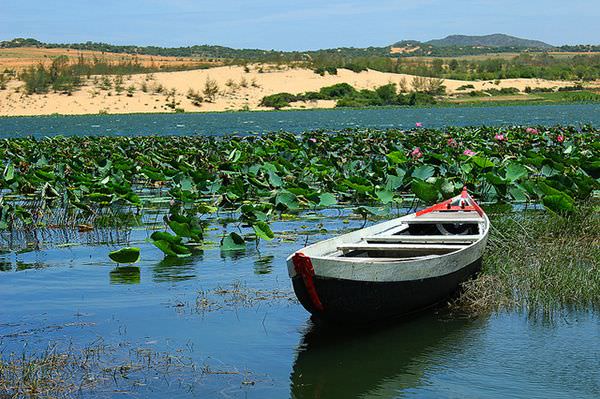 Trai-nghiem-khac-biet-tai-7-doi-cat-quyen-ru-bac-nhat-mien-trung-wetrek.vn