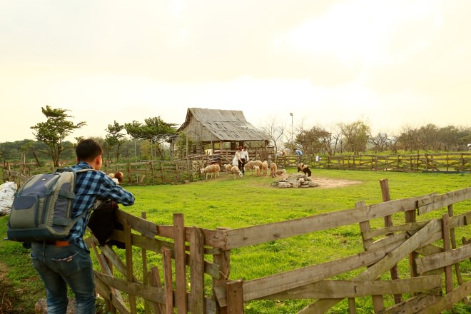 Vuon-hoa-oai-huong-1500-m2-dau-tien-o-ha-noi-wetrek.vn