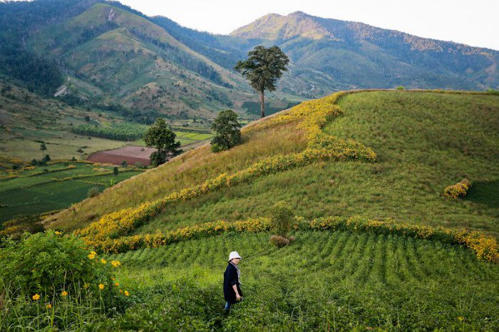 kham-pha-doi-mat-pleiku-khong-don-thuan-la-tham-quan-canh-dep-wetrek.vn3