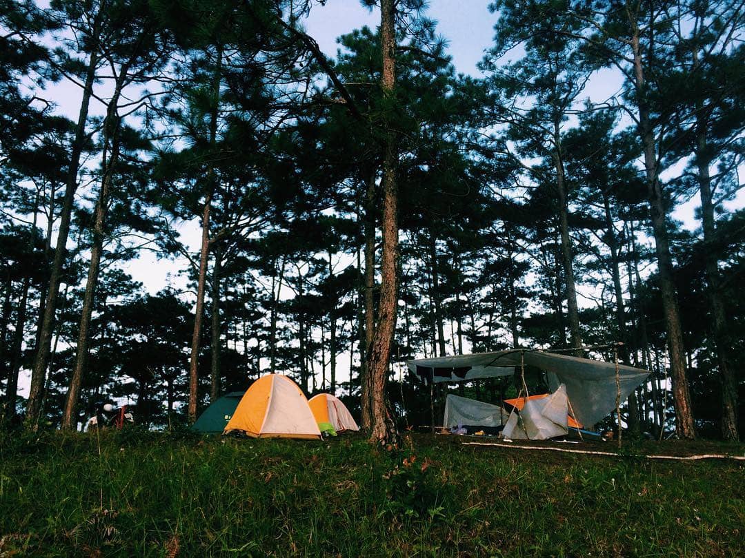 Địa điểm cắm trại cần có bóng mát