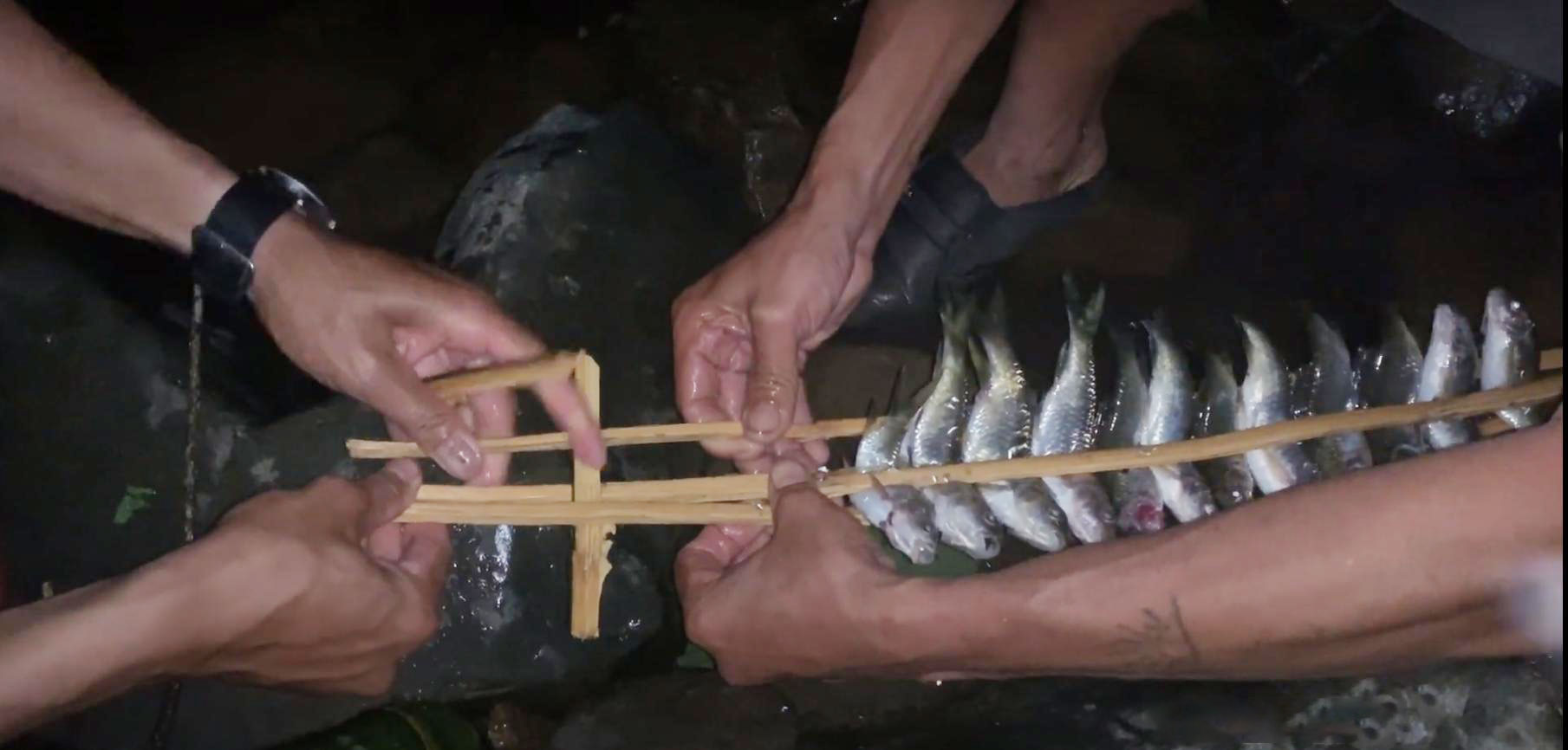 Bắt cá ở suối Tà Năng - Phan Dũng