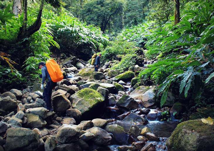 Con suối nghỉ chân trong rừng leo Ky Quan San