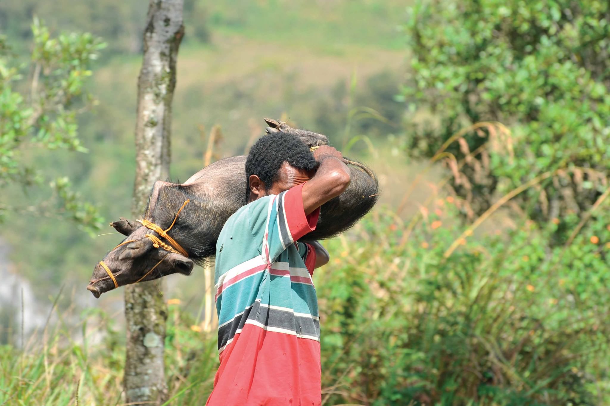 trekking-indonesia-wetrek.vn