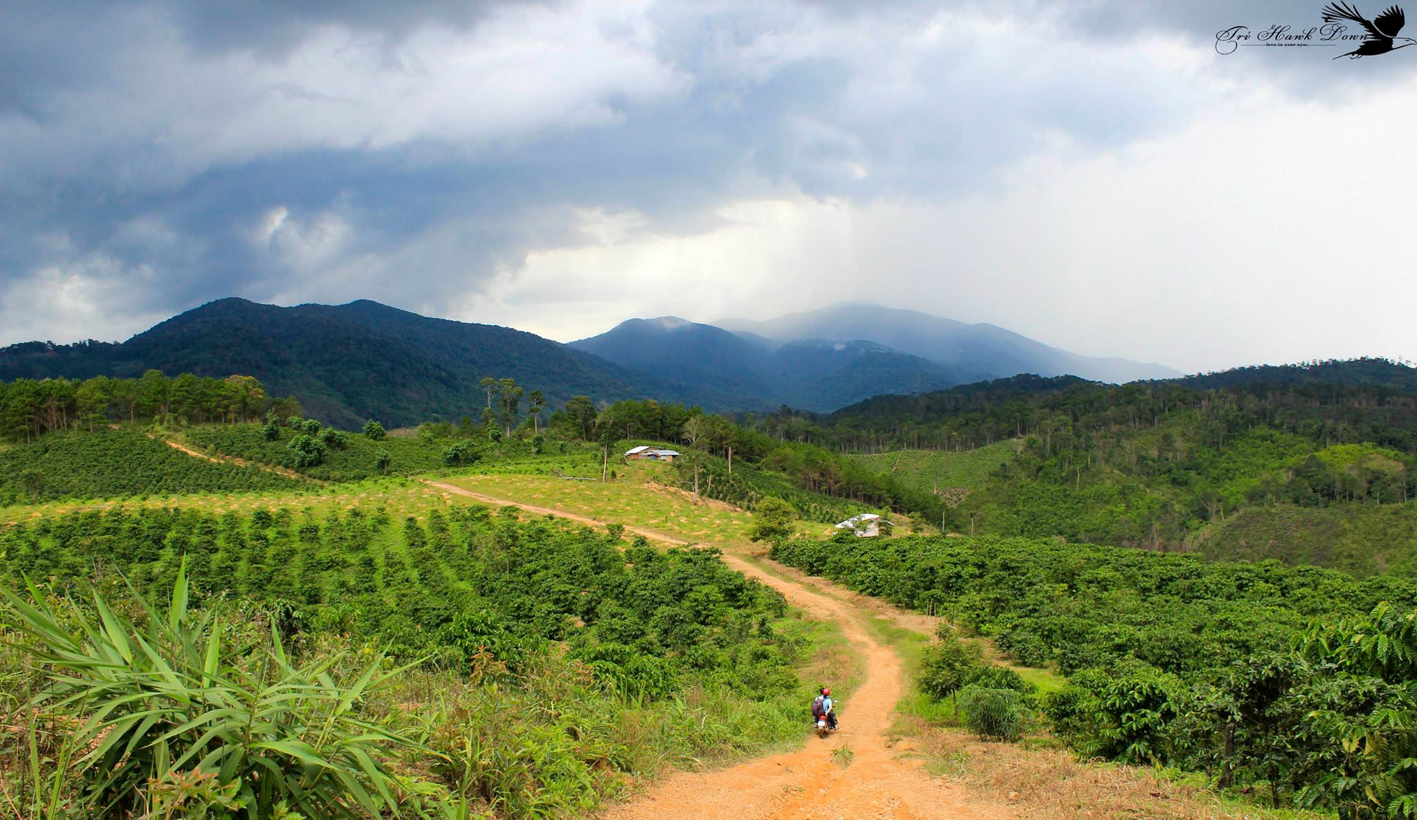 Duong-vao-phi-lieng-wetrekvn