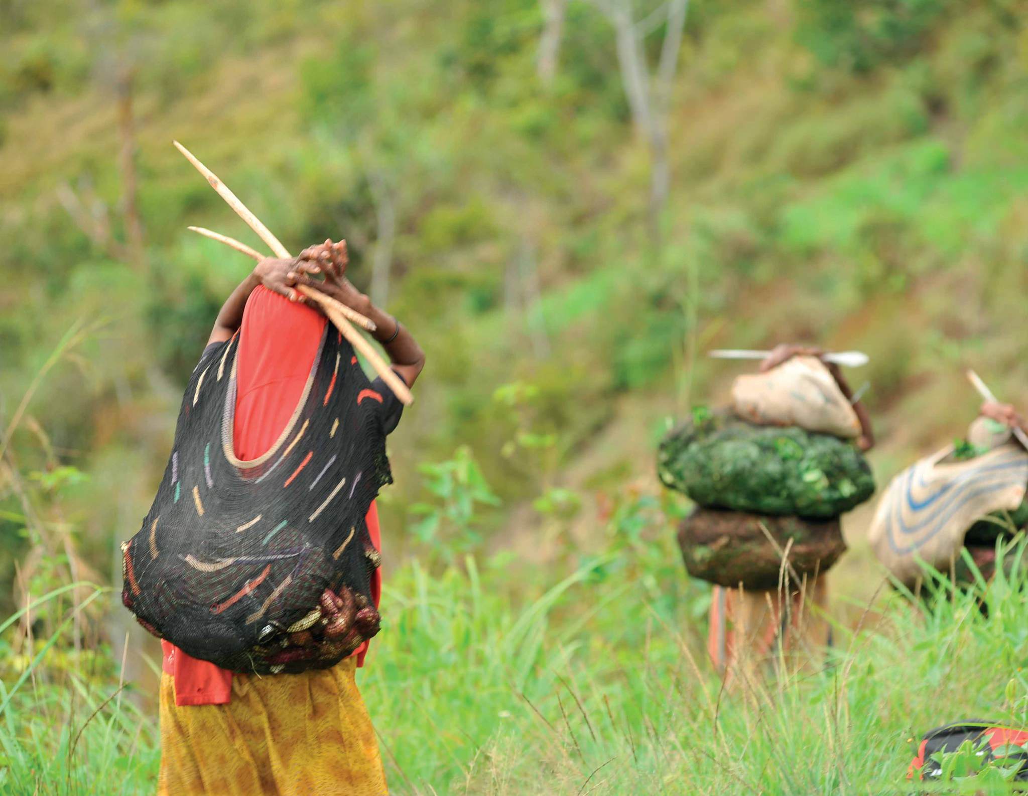 trekking-indonesia-wetrekvn