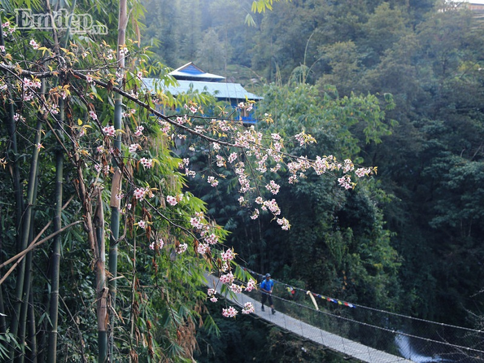 hen-ho-trekking-o-nepal-wetrekvn