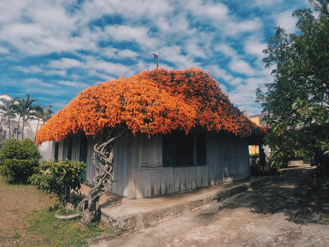 Dung-chan-bao-loc-tan-huong-khong-gian-thanh-binh-wetrekvn