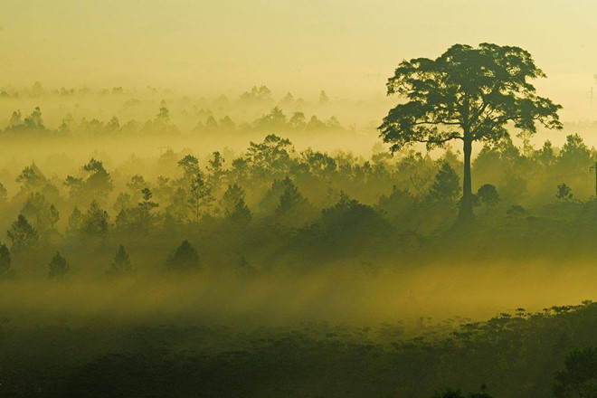 Dung-chan-bao-loc-tan-huong-khong-gian-thanh-binh-wetrekvn