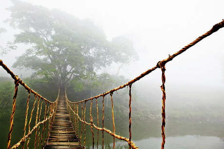 Cay-cau-go-tai-sa-pa-vo-tinh-noi-tieng-the-gioi-wetrekvn