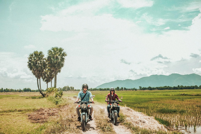 Cây Thốt Nốt Trái Tim 'Huyền Thoại' Ở An Giang Thành 'Trái Tim Tan Vỡ' Vì Ý  Thức Khách Du Lịch Quá Kém