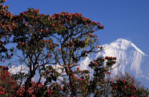 nepal-wetrekvn