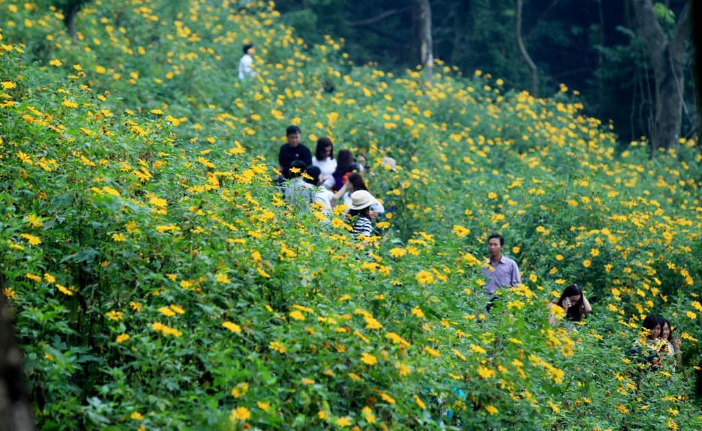 Nhung-dia-diem-ngam-hoa-da-quy-dep-tu-bac-toi-nam-wetrekvn