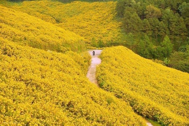 Nhung-dia-diem-ngam-hoa-da-quy-dep-tu-bac-toi-nam-wetrekvn