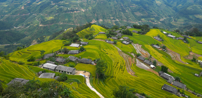 Ruong-bac-thang-dep-nhat-Việt-Nam-o-Hoang-Su-Phi-wetrekvn