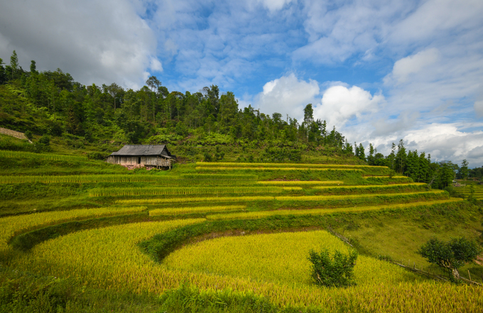 Ruong-bac-thang-dep-nhat-Việt-Nam-o-Hoang-Su-Phi-wetrekvn