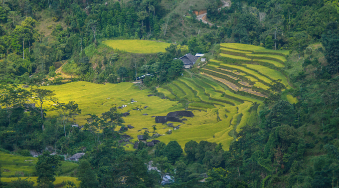 Ruong-bac-thang-dep-nhat-Việt-Nam-o-Hoang-Su-Phi-wetrekvn