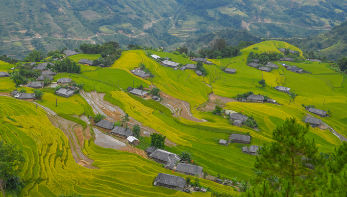 Ruong-bac-thang-dep-nhat-Việt-Nam-o-Hoang-Su-Phi-wetrekvn