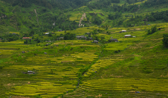 Ruong-bac-thang-dep-nhat-Việt-Nam-o-Hoang-Su-Phi-wetrekvn