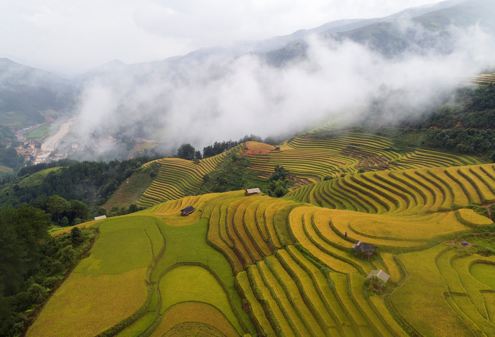 sac-thu-ruc-ro-trong-mua-vang-mu-cang-chai-wetrekvn