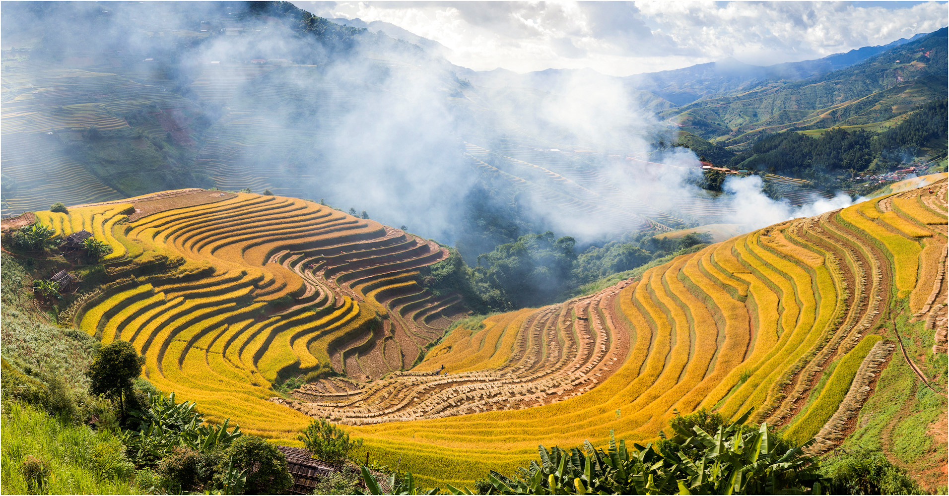 sac-thu-ruc-ro-trong-mua-vang-mu-cang-chai-wetrekvn