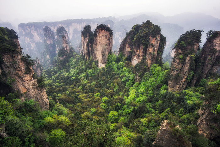 Lac-vao-chon-bong-lai-tien-canh-truong-gia-gioi-wetrekvn