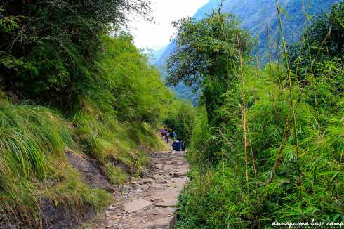 anh-nepal