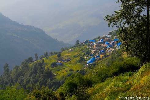 cung-trekking-annapurna-wetrekvn