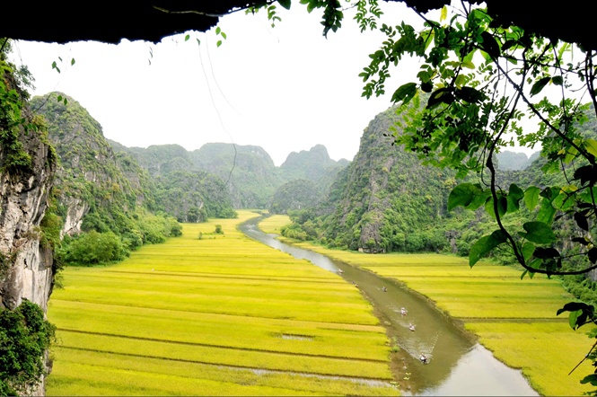 Du lịch Ninh Bình Ngẩn ngơ trước Tam Cốc mùa lúa chính