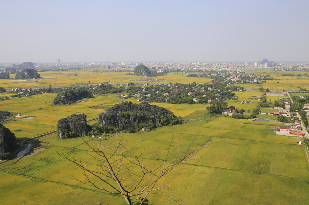 ngo-ngang-ve-dep-mua-lua-chin-vung-tam-coc-nhin-tu-hang-mua-wetrekvn