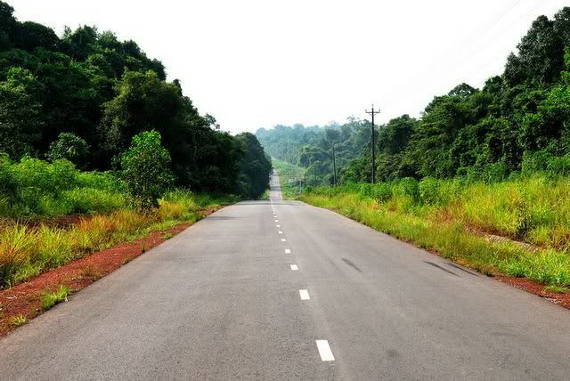 Cung-duong-noi-Sai-Gon-Da-Lat-wetrekvn.jpg