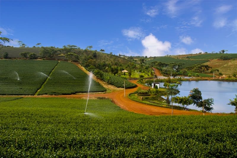 Cung-duong-noi-Sai-Gon-Da-Lat-wetrekvn.jpg