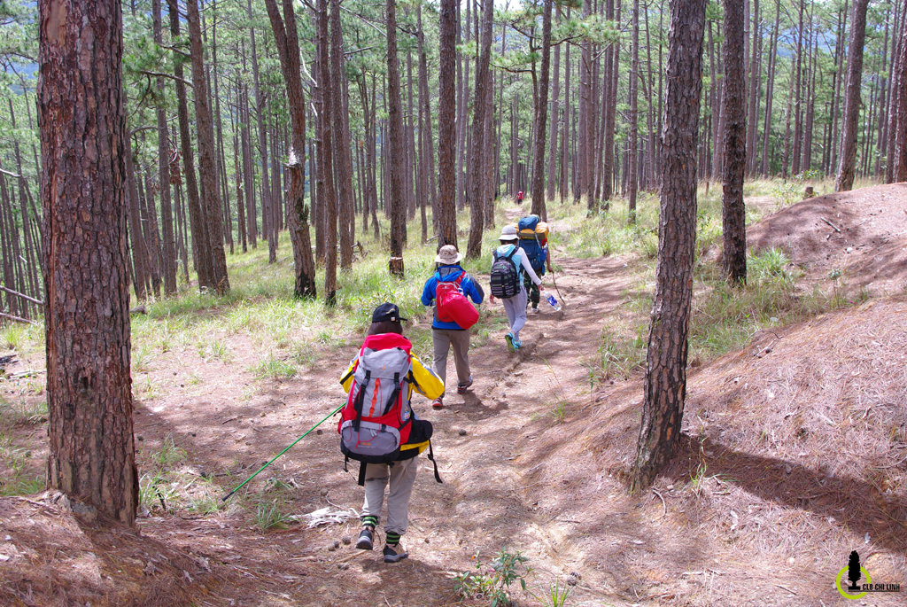 Trekking-chinh-phuc-Bidoup-cao-nguyen-Lam-vien-wetrek.jpg