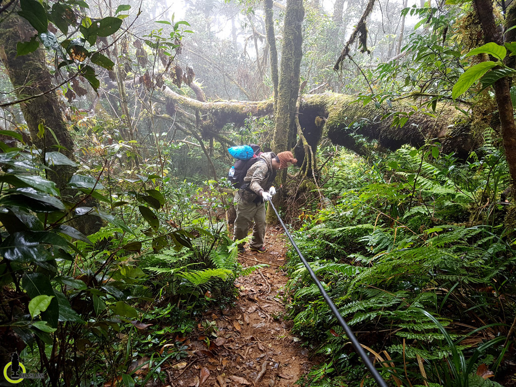 Trekking-chinh-phuc-Bidoup-cao-nguyen-Lam-vien-wetrek.jpg