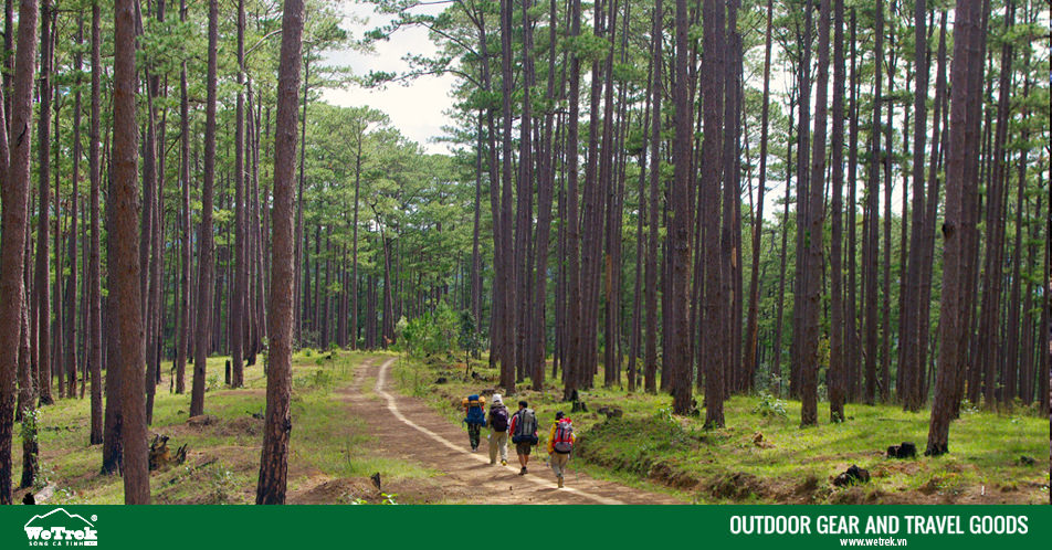 Trekking-chinh-phuc-Bidoup-cao-nguyen-Lam-vien-wetrek.jpg