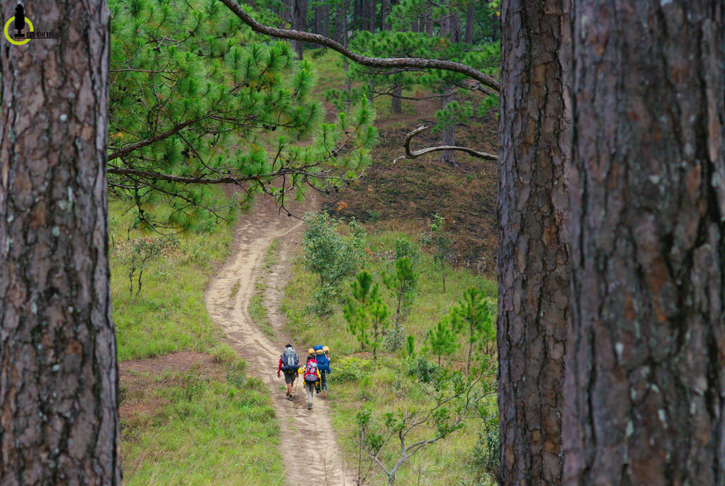 Trekking-chinh-phuc-Bidoup-cao-nguyen-Lam-vien-wetrek.jpg