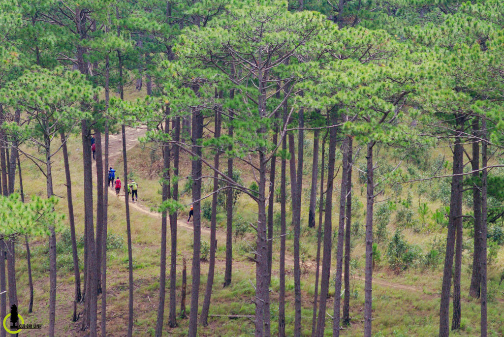 Trekking-chinh-phuc-Bidoup-cao-nguyen-Lam-vien-wetrek.jpg