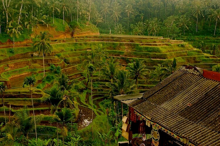 4 địa điểm nên trải nghiệm khi đặt chân đến Bali1