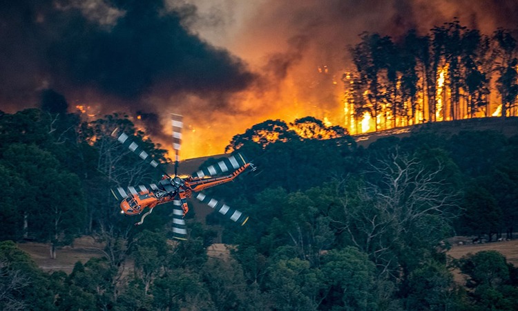 Australia thiệt hại nặng nề về du lịch sau cháy rừng