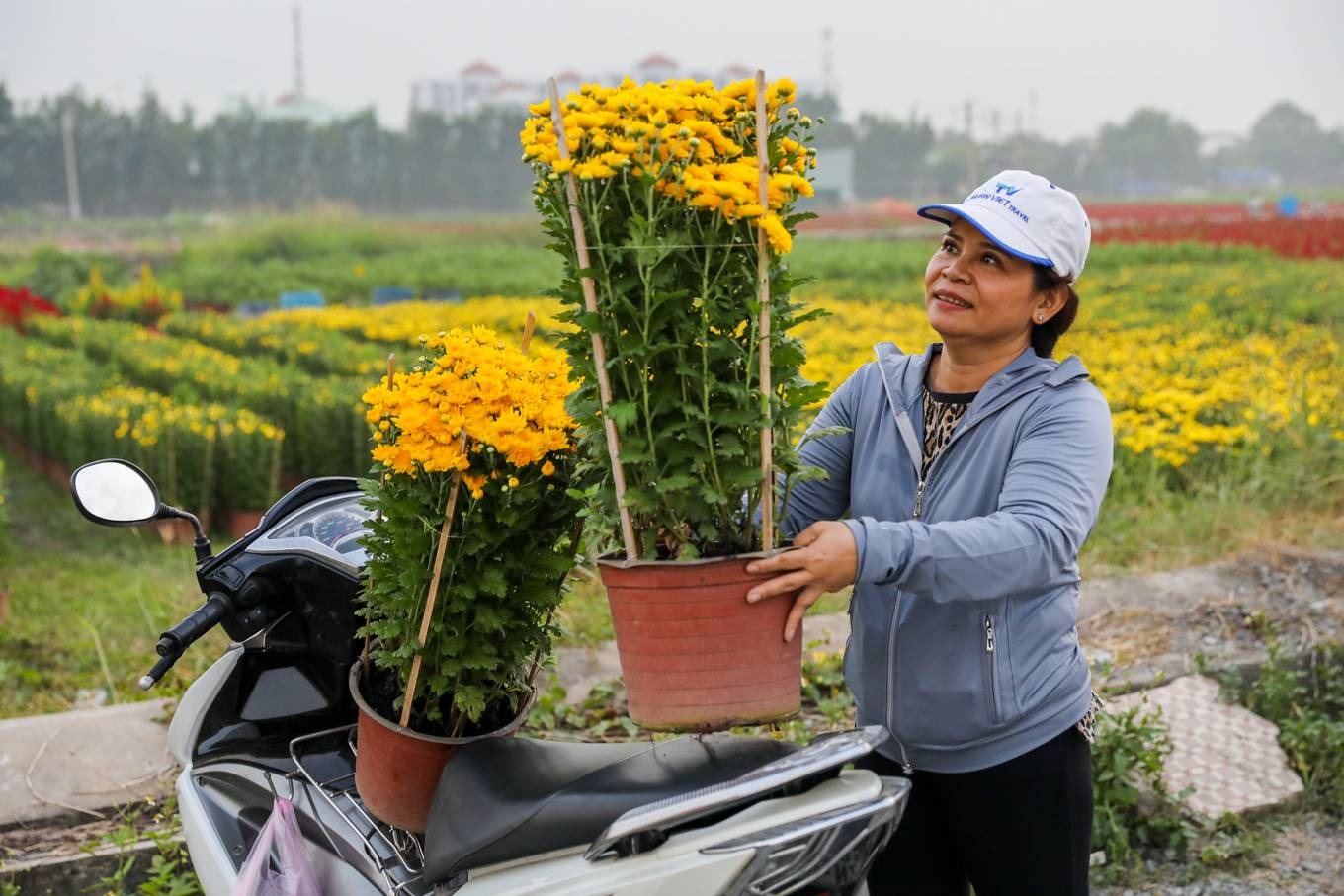Cận cảnh làng hoa ngoại thành Sài Gòn những ngày giáp tết Bình Tý 202010