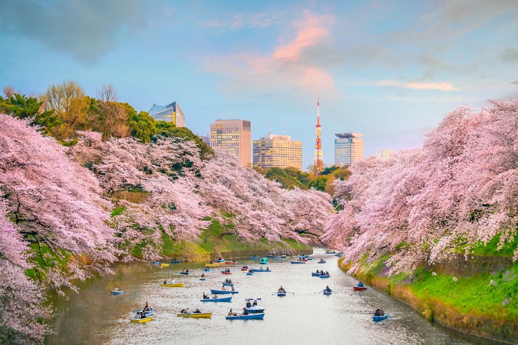 Cùng Tokyo Metro khám phá thủ đô của Nhật Bản 3