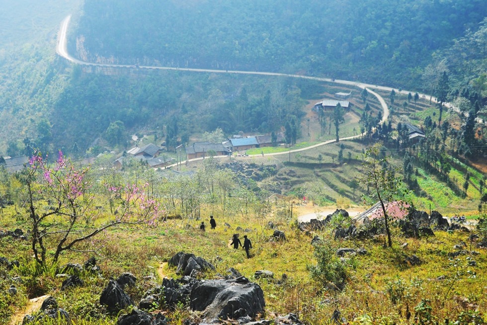 Hành trình du xuân lên cao nguyên đá xem ''đá nở hoa''4